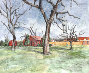Landscape