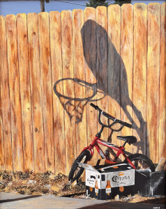 Backyard Series