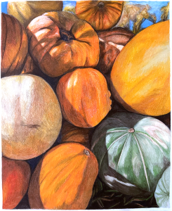 Color Illustration